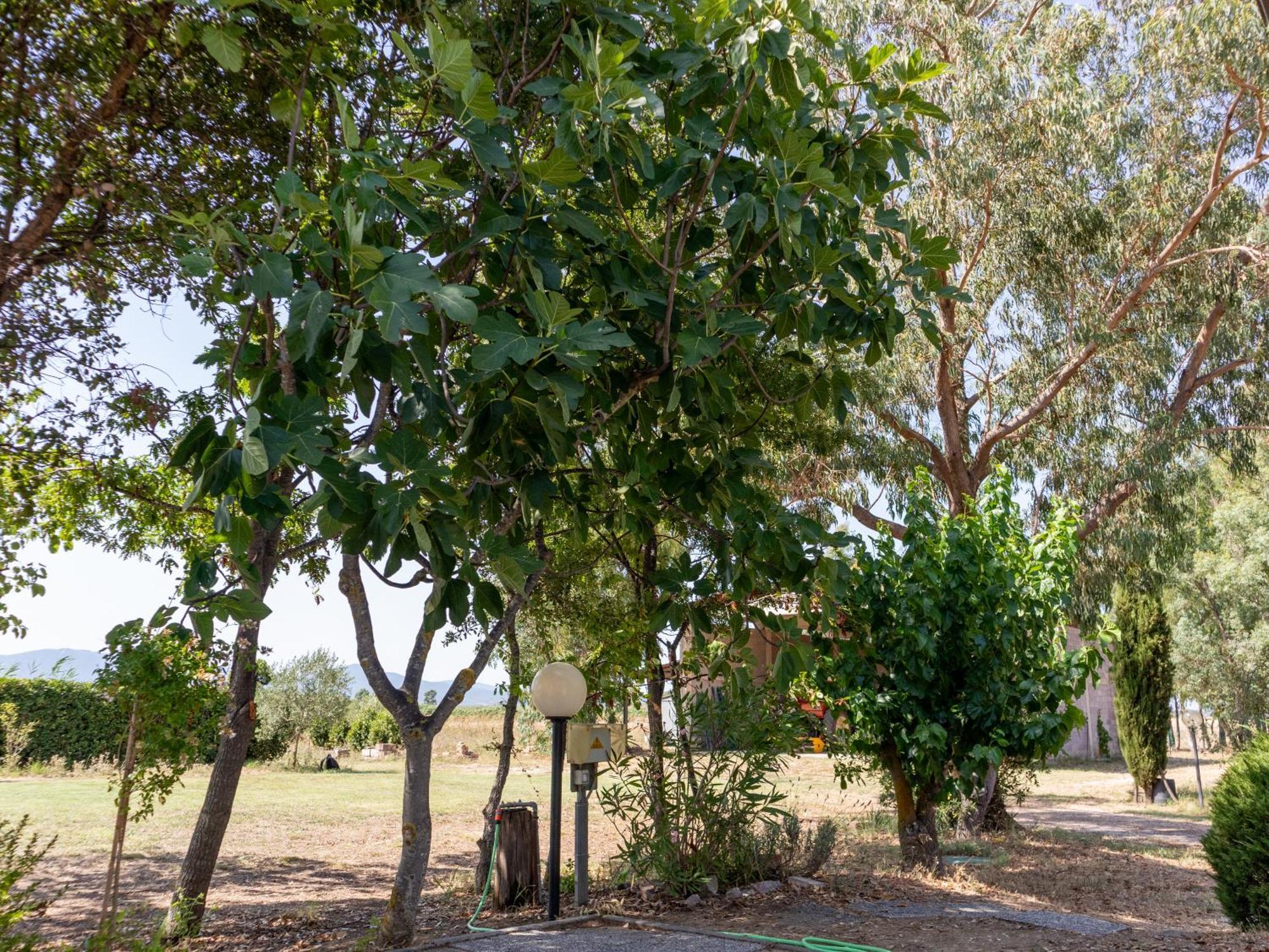 Agriturismo I Gelsi Marina Di Grosseto Exterior photo