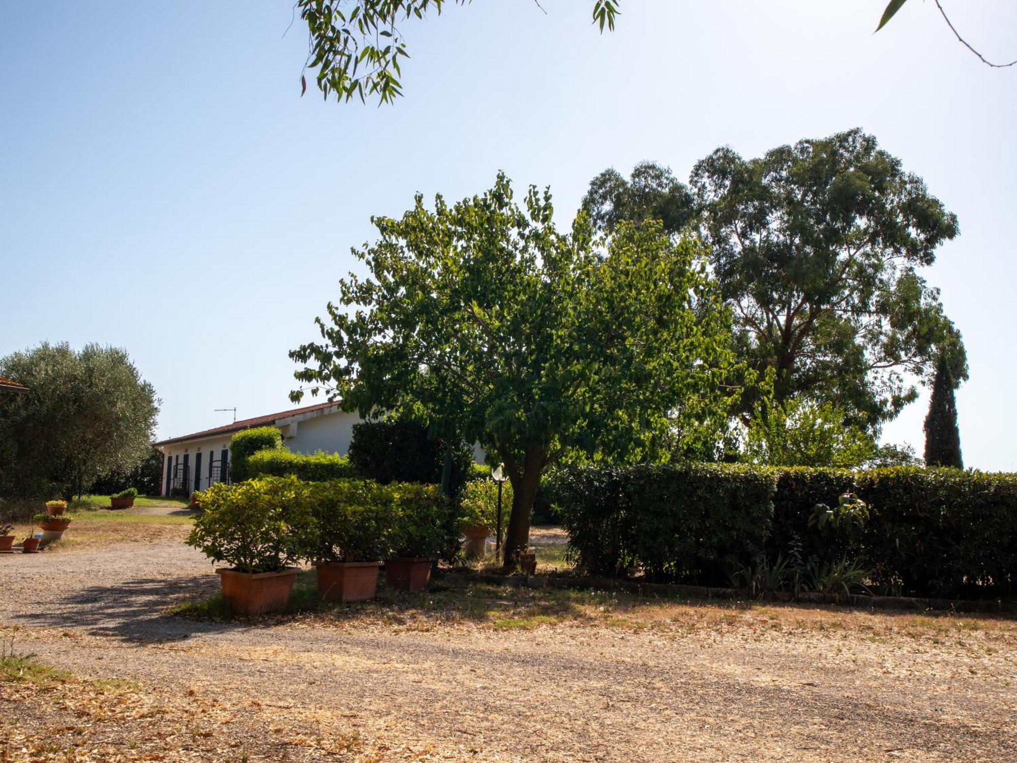 Agriturismo I Gelsi Marina Di Grosseto Exterior photo